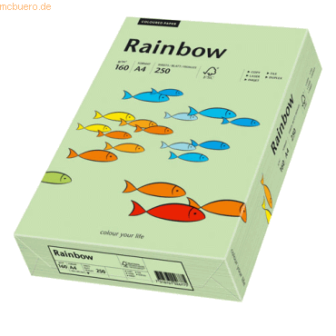 Papyrus Kopierpapier Rainbow Pastell A4 160g/qm VE=250 Blatt mittelgr
