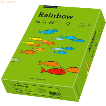 Papyrus Multifunktionspapier Rainbow A4 120 g/qm intensivgrn VE=250 B