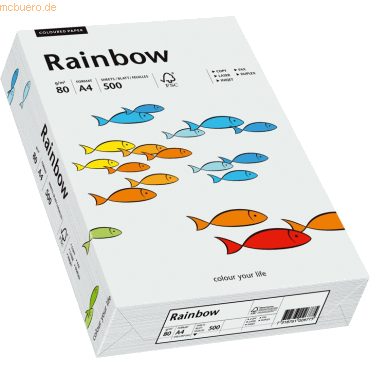 Papyrus Multifunktionspapier Rainbow A4 80 g/qm hellgrau VE=500 Blatt