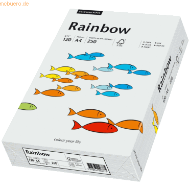 5 x Papyrus Multifunktionspapier Rainbow A4 120 g/qm hellgrau VE=250 B
