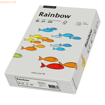 Papyrus Kopierpapier Rainbow Pastell A4 80g/qm VE=500 Blatt grau