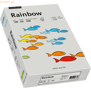 Papyrus Multifunktionspapier Rainbow A4 120 g/qm grau VE=250 Blatt