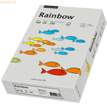 Papyrus Multifunktionspapier Rainbow A4 160 g/qm grau VE=250 Blatt