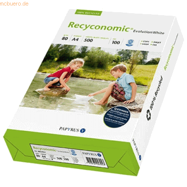 Papyrus Kopierpapier Recyconomic Evolution White A4 80g/qm wei RC VE=