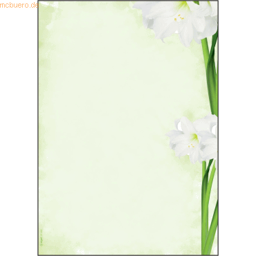 Sigel Motiv-Papier A4 90g Green Flower VE=25 Blatt