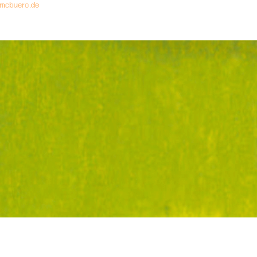 Staufen Transparentpapier 40g/qm 70x100cm VE=25 Bogen gefalzt hellgrn