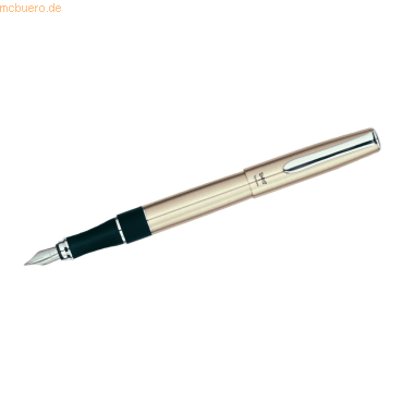 Tombow Fllhalter Havanna silber-matt Federbreite M