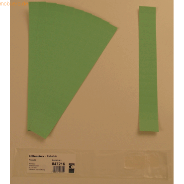 Ultradex Einsteckkarten fr 20mm Einsteckschiene 40x17mm VE=170 Stck