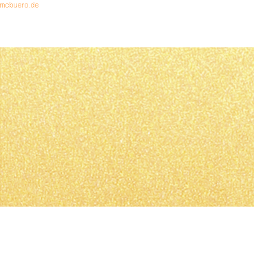 10 x Ludwig Bähr Fotokarton 300g/qm 50x70cm gold matt