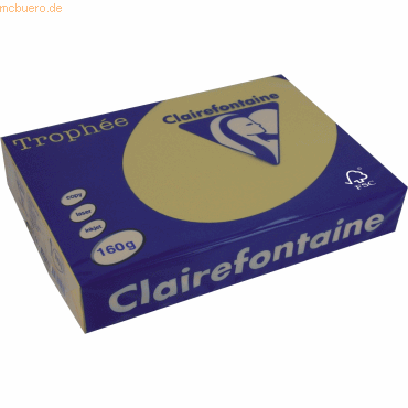 Kopierpapier Trophee Pastell A4 160g/qm goldgelb VE=250 Blatt Kopierpapier Trophee Pastell A4 160g/qm goldgelb VE=250 Blatt