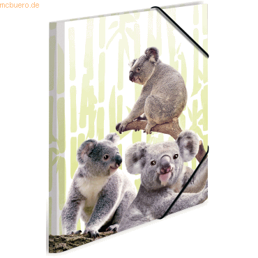 Sammelmappe A3 PP Koalafamilie Sammelmappe A3 PP Koalafamilie