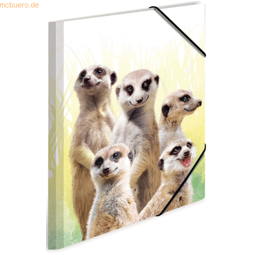 Sammelmappe A3 PP Erdmännchentruppe Sammelmappe A3 PP Erdmännchentruppe