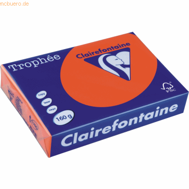 3329680176506 - Coloured Paper orange intensiv A4 160g Kopierpapier 250