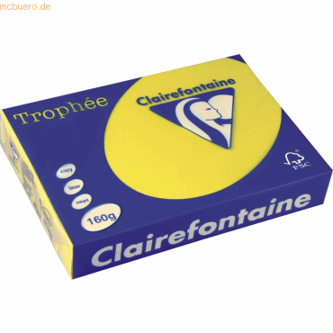 3329680102901 - Kopierpapier Trophee 1029C kanariengelb intensiv A4 160g  3329680102901 250 Stück