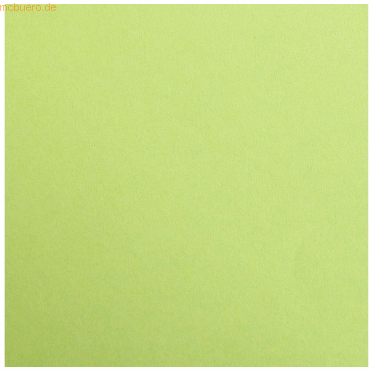 3329680974522 - 2 x Fotokarton A4 300g qm VE=25 Blatt minze
