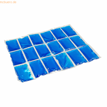 3138522061098 - Cg Kühlelement Flexi FreezPack m 2000010674 (2000010674) - Campingaz 3138522061098 - Cg Kühlelement Flexi FreezPack m 2000010674 (2000010674) - Campingaz