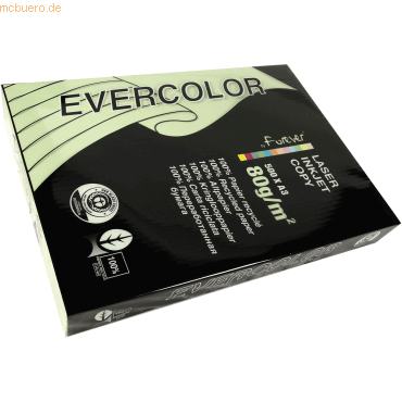 3288580300049 - 5 x Kopierpapier Forever Evercolor DIN A3 hellgrün 80 g