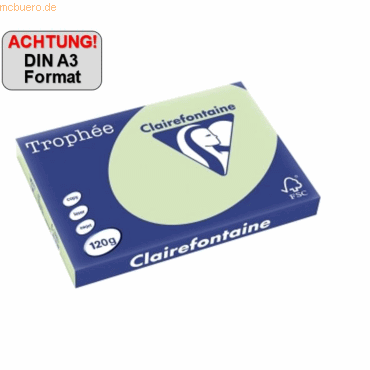 3329680131505 - Kopierpapier Trophee 1315C grün pastell A3 120g  3329680131505 250 Blatt