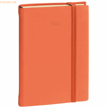 3371010503162 - Buchkalender Daily 17 12x17cm Silk orange 2024