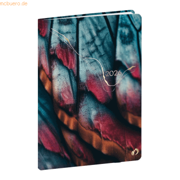 3371010537099 - Kalender Geschäft 10x15cm 13 Monaten Hipsy Schmetterling 202