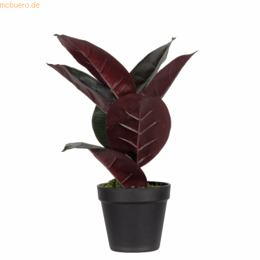 3660141963472 - Kunstpflanze PAFICE36 Gummibaum 36cm 3660141963472 - Kunstpflanze PAFICE36 Gummibaum 36cm