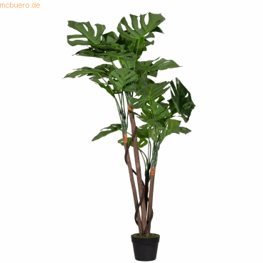 3660141963519 - Kunstpflanze meet® by Paperflow Monstera inkl Kunststoff-Topf H 1300 mm PEVA 3660141963519 - Kunstpflanze meet® by Paperflow Monstera inkl Kunststoff-Topf H 1300 mm PEVA