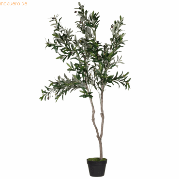 3660141963564 - Kunstpflanze meet® by Paperflow Olivenbaum inkl Kunststoff-Topf H 1550 mm Polyester PE 3660141963564 - Kunstpflanze meet® by Paperflow Olivenbaum inkl Kunststoff-Topf H 1550 mm Polyester PE