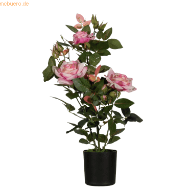 3660141963588 - Kunstpflanze PARROS54 Rosenstock ro 54cm 3660141963588 PAPERFLOW