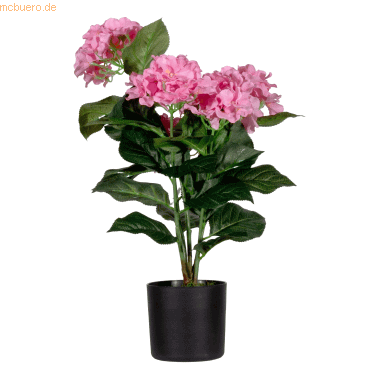 3660141963632 - Kunstpflanze PAHORT55 Hortensie 55cm 3660141963632 - Kunstpflanze PAHORT55 Hortensie 55cm