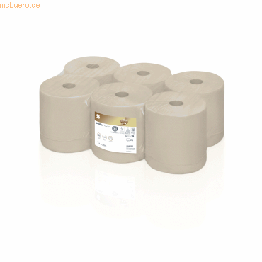 4000735354450 - Satino Handtuchrolle PureSoft 314300 2lg 179m beige 6St 4000735354450 6 Stück 4000735354450 - Satino Handtuchrolle PureSoft 314300 2lg 179m beige 6St 4000735354450 6 Stück