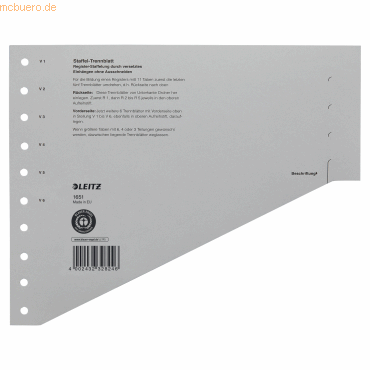 4002432473823 - Staffel-Trennblätter 1651-00-85 grau 200g  4002432473823 100 Stück