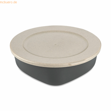 4002942560488 - Box CONNECT BOX 7275701 Deckel 13l ash grey 4002942560488 Koziol 4002942560488 - Box CONNECT BOX 7275701 Deckel 13l ash grey 4002942560488 Koziol