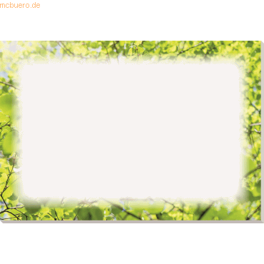 4003630023407 - Schreibunterlage oeco 3667 Motiv Blätter 59x42cm Papier 20 Blatt 4003630023407 - Schreibunterlage oeco 3667 Motiv Blätter 59x42cm Papier 20 Blatt