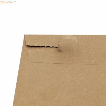 4003928533786 - Faltentasche eCommerce 30117410 300+80x370+80mm 110g br 4003928533786 250 Stück 4003928533786 - Faltentasche eCommerce 30117410 300+80x370+80mm 110g br 4003928533786 250 Stück