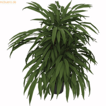 4003969062047 - Kunstpflanze Ficus 360Blatt Höhe 800mm Kunststofftopf 4003969062047 Soennecken