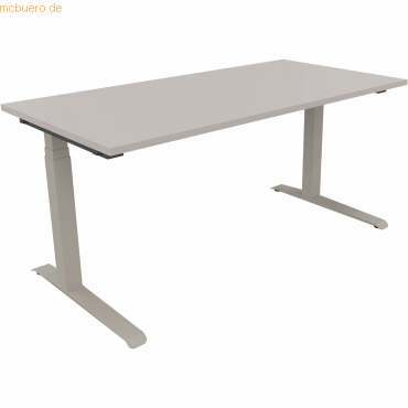 4003969062955 - Sitz-Steh-Schreibtisch All in One 810013581 elektrisch höhenverstellbar 645-1275cm (H) 160x80cm (BxT) rechteckig lichtgrau 4003969062955 - Sitz-Steh-Schreibtisch All in One 810013581 elektrisch höhenverstellbar 645-1275cm (H) 160x80cm (BxT) rechteckig lichtgrau