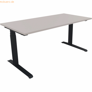 4003969063020 - Sitz-Steh-Schreibtisch All in One 810013481 elektrisch höhenverstellbar 645-1275cm (H) 160x80cm (BxT) rechteckig lichtgrau 4003969063020 - Sitz-Steh-Schreibtisch All in One 810013481 elektrisch höhenverstellbar 645-1275cm (H) 160x80cm (BxT) rechteckig lichtgrau