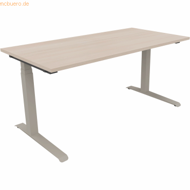 4003969063068 - Sitz-Steh-Schreibtisch All in One 810013572 elektrisch höhenverstellbar 645-1275cm (H) 160x80cm (BxT) rechteckig akazie he 4003969063068 - Sitz-Steh-Schreibtisch All in One 810013572 elektrisch höhenverstellbar 645-1275cm (H) 160x80cm (BxT) rechteckig akazie he
