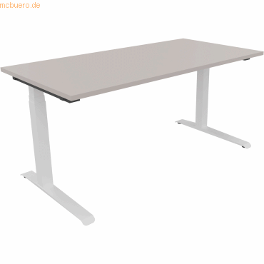 4003969063075 - Sitz-Steh-Schreibtisch All in One 810013681 elektrisch höhenverstellbar 645-1275cm (H) 160x80cm (BxT) rechteckig lichtgra 4003969063075 - Sitz-Steh-Schreibtisch All in One 810013681 elektrisch höhenverstellbar 645-1275cm (H) 160x80cm (BxT) rechteckig lichtgra