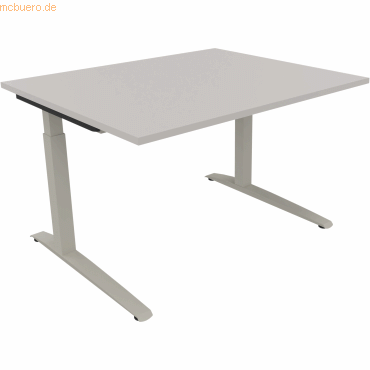 4003969071209 - Schreibtisch All in One 810021581 manuell höhenverstellbar 65-85cm (H) 120x100cm (BxT) rechteckig lichtgrau silberaluminiu 4003969071209 - Schreibtisch All in One 810021581 manuell höhenverstellbar 65-85cm (H) 120x100cm (BxT) rechteckig lichtgrau silberaluminiu