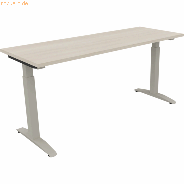4003969072695 - Schreibtisch All in One 810024872 manuell höhenverstellbar 65-85cm (H) 160x60cm (BxT) rechteckig akazie hell silberalumini 4003969072695 - Schreibtisch All in One 810024872 manuell höhenverstellbar 65-85cm (H) 160x60cm (BxT) rechteckig akazie hell silberalumini