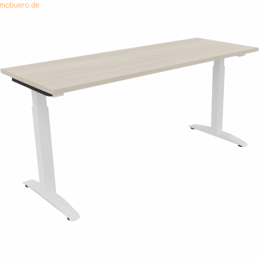 4003969072701 - Schreibtisch All in One 810024972 manuell höhenverstellbar 65-85cm (H) 160x60cm (BxT) rechteckig akazie hell verkehrsweiß 4003969072701 - Schreibtisch All in One 810024972 manuell höhenverstellbar 65-85cm (H) 160x60cm (BxT) rechteckig akazie hell verkehrsweiß
