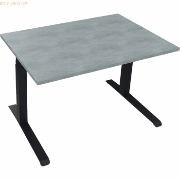 4003969085428 - Sitz-Steh-Schreibtisch All in One 810043383 elektrisch höhenverstellbar 645-1275cm (H) 120x80cm (BxT) rechteckig beton hel 4003969085428 - Sitz-Steh-Schreibtisch All in One 810043383 elektrisch höhenverstellbar 645-1275cm (H) 120x80cm (BxT) rechteckig beton hel