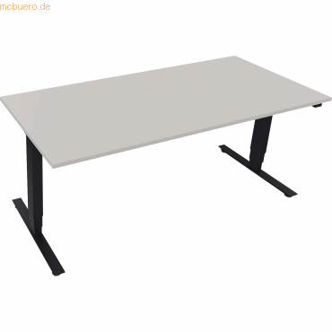 4003969087125 - Sitz-Steh-Schreibtisch 810046681 elektrisch höhenverstellbar 625-1285cm (H) rechteckig lichtgrau   anthrazit metallic 40039