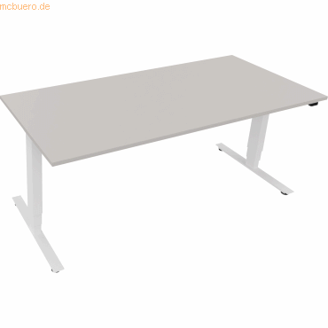 4003969087255 - Sitz-Steh-Schreibtisch 810046881 elektrisch höhenverstellbar 625-1285cm (H) rechteckig lichtgrau   verkehrsweiß 40039690872