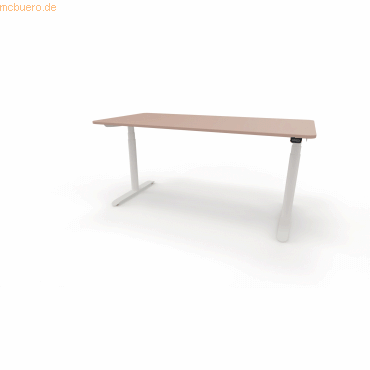 4003969124028 - Sitz-Steh-Schreibtisch selab e-desk 815018631 elektrisch höhenverstellbar 65-128cm (H) 160x80cm (BxT) rechteckig antikrose 4003969124028 - Sitz-Steh-Schreibtisch selab e-desk 815018631 elektrisch höhenverstellbar 65-128cm (H) 160x80cm (BxT) rechteckig antikrose