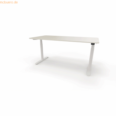 4003969124073 - Sitz-Steh-Schreibtisch selab e-desk 815018601 elektrisch höhenverstellbar 65-128cm (H) 160x80cm (BxT) rechteckig weiß Wei 4003969124073 - Sitz-Steh-Schreibtisch selab e-desk 815018601 elektrisch höhenverstellbar 65-128cm (H) 160x80cm (BxT) rechteckig weiß Wei