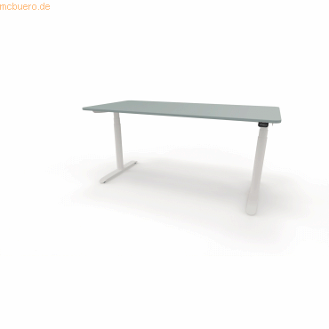 4003969124103 - Sitz-Steh-Schreibtisch selab e-desk 815018667 elektrisch höhenverstellbar 65-128cm (H) 160x80cm (BxT) rechteckig fjordgrün 4003969124103 - Sitz-Steh-Schreibtisch selab e-desk 815018667 elektrisch höhenverstellbar 65-128cm (H) 160x80cm (BxT) rechteckig fjordgrün
