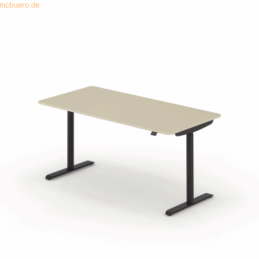 4003969124134 - Sitz-Steh-Schreibtisch selab e-desk 815018881 elektrisch höhenverstellbar 65-128cm (H) 160x80cm (BxT) rechteckig lichtgrau 