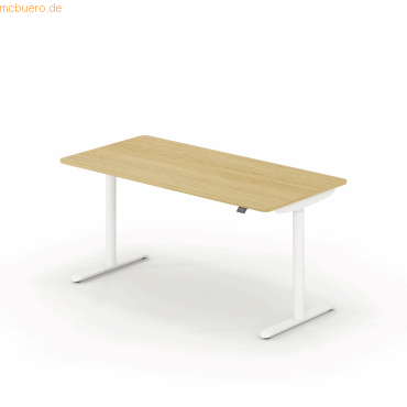 4003969124141 - Sitz-Steh-Schreibtisch selab e-desk 815018672 elektrisch höhenverstellbar 65-128cm (H) 160x80cm (BxT) rechteckig eiche hell 4003969124141 - Sitz-Steh-Schreibtisch selab e-desk 815018672 elektrisch höhenverstellbar 65-128cm (H) 160x80cm (BxT) rechteckig eiche hell